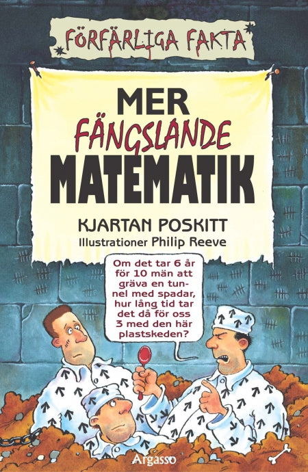 Bokomslag för Mer fängslande matematik